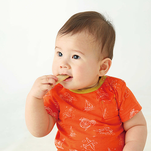 Pigeon Baby Snack 贝亲高铁高钙海苔磨牙米饼 6月+ 2枚x6袋