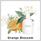Layered Fragrance Hand and Body Wash-Orange Blossom/蕾野香氛洗手沐浴露 香橙花 500ml