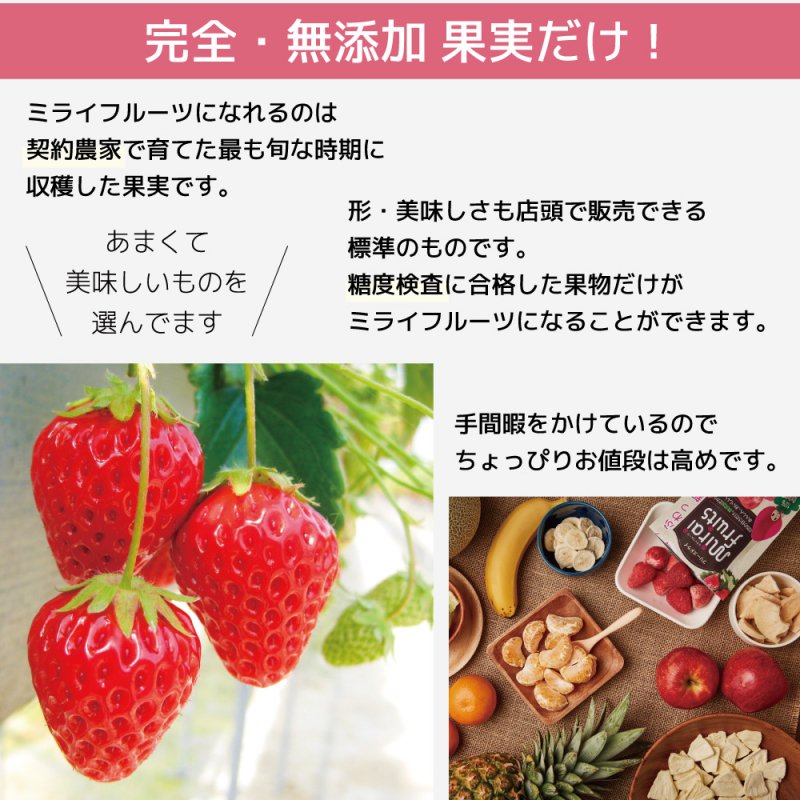 2024.12 Mirai Fruits Freeze Dried Strawberry/Mirai Fruits未来果实100%天然草莓干 9 month+ 10g