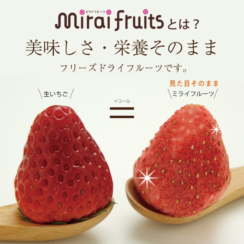 2024.12 Mirai Fruits Freeze Dried Strawberry/Mirai Fruits未来果实100%天然草莓干 9 month+ 10g