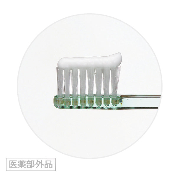 Lion DENT Check-up Kodomo Toothpaste狮王DENT Check-up Kodomo儿童牙膏 6-18 years old 60g 两款可选