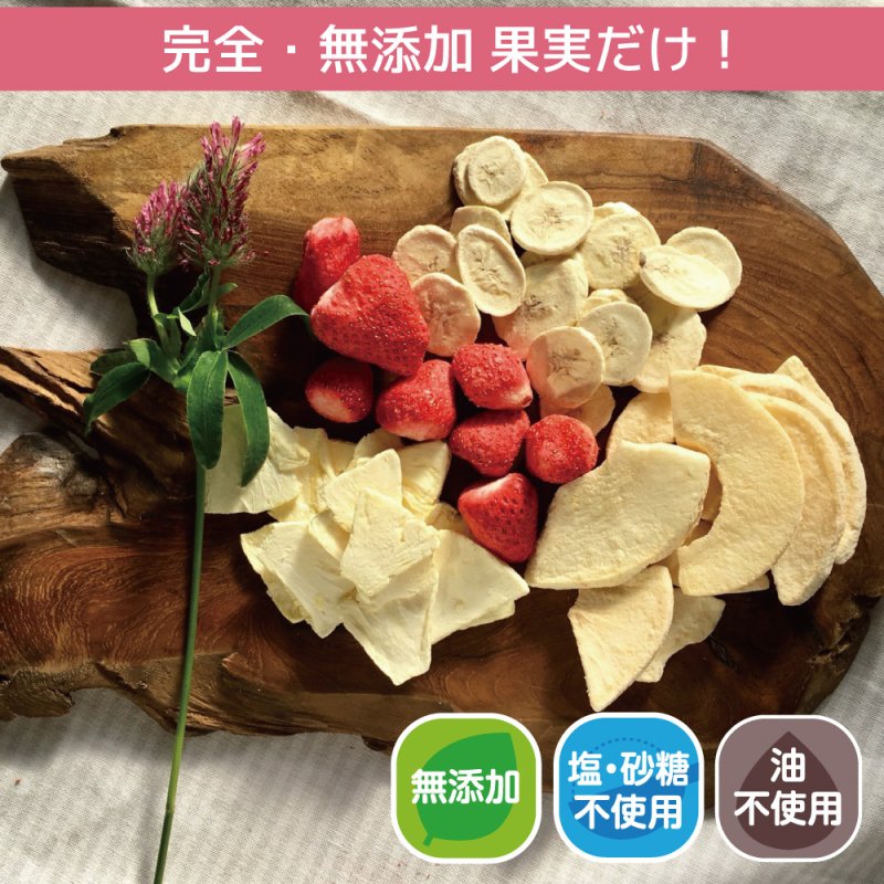 Mirai Fruits Freeze Dried Orange/Mirai Fruits未来果实100%天然橘子干 9 month+ 10g