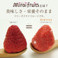 Mirai Fruits Freeze Dried Orange/Mirai Fruits未来果实100%天然橘子干 9 month+ 10g