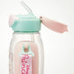 Skater One-Push Straw Water Bottle-PRINCESS/Skater一键式吸管水壶-迪士尼公主 530ml